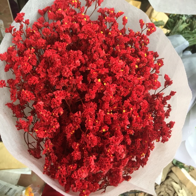 com bo 5 bó hoa sao nhuộm