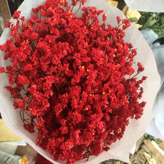 com bo 5 bó hoa sao nhuộm
