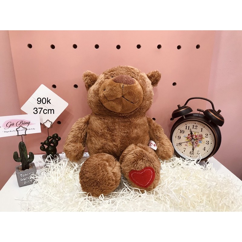 Gấu Si Teddy Úc Mỹ. Đã qua xử lí sạch sẽ