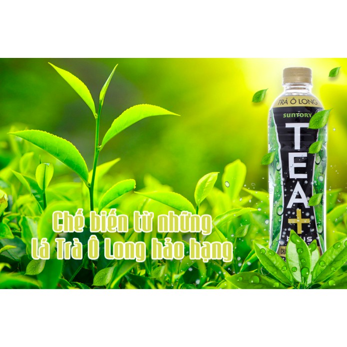 THÙNG 24 CHAI TRÀ Ô LONG/ OOLONG TEA PLUS+ 350ML