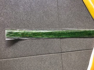Sợi tóc móc lai