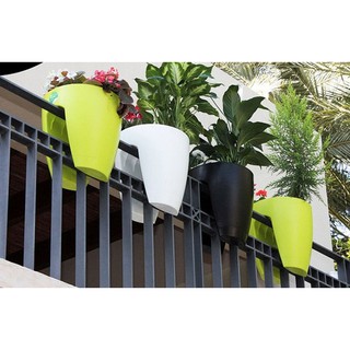 CHẬU NHỰA KẸP LAN CAN LOẠI LỚN