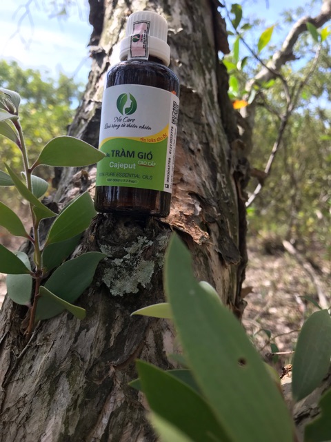 Tinh dầu tràm gió cao cấp cho bé 100ml