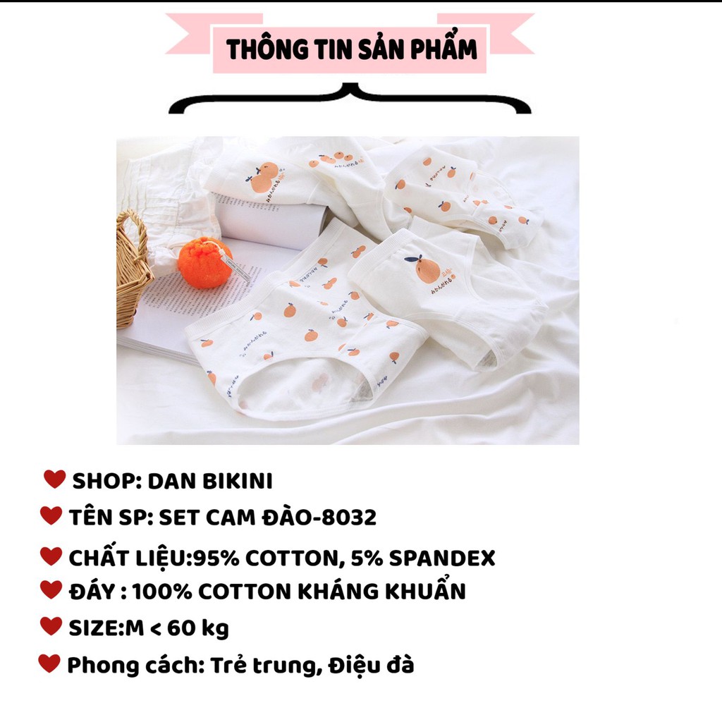 Quần Lót Nữ Cotton chống viêm mềm mại đáng yêu họa tiết cam đào Set 8032