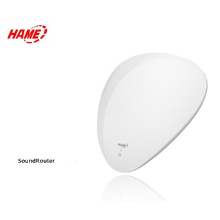 ROUTER HAME MUSIC WU01X - BIẾN LOA THƯỜNG THÀNH LOA WIFI