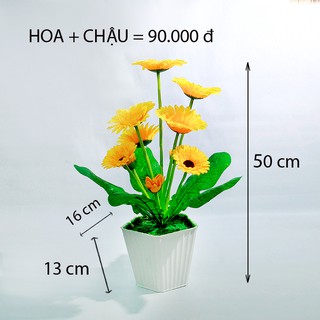 HOA GIẢ - CHẬU HOA ĐỒNG TIỀN [ GIÁ 90.000 đ / 1 chậu ]