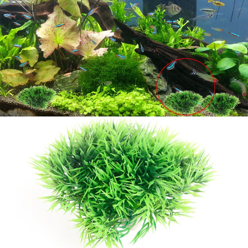 Cây Cỏ Nhân Tạo Trang Trí Bể Cá