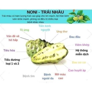 ♥️CAO LỎNG TRÁI NHÀU (NONI) APP♥️