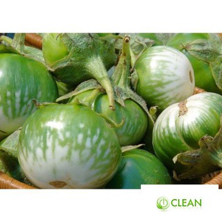 HẠT GIỐNG CÀ BÁT XANH - gói 1 gam