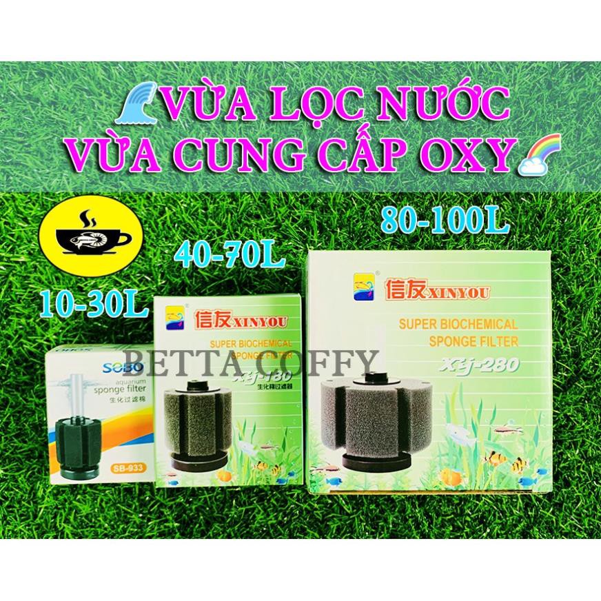 Lọc Vi Sinh BIO mini - ĐẾ SỎI - Không cần thay nước