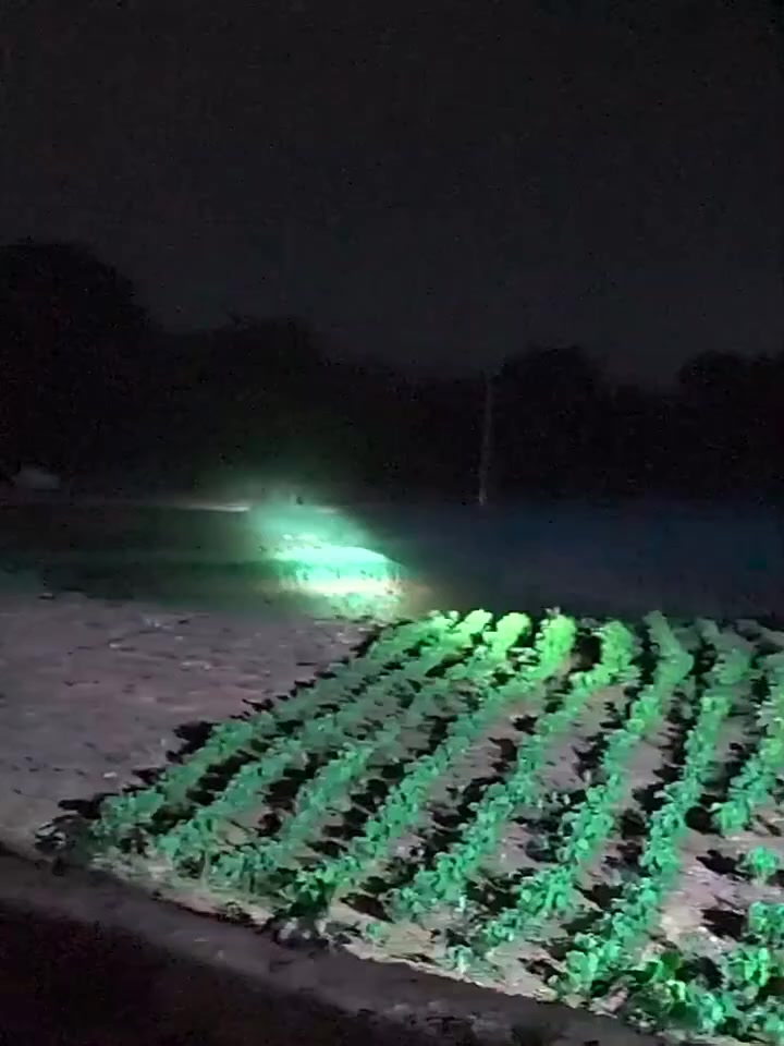 Đèn Pin Đeo Đầu 5 Bóng LED Siêu Sáng Chống Thấm Nước Sạc USB Tiện Lợi | BigBuy360 - bigbuy360.vn