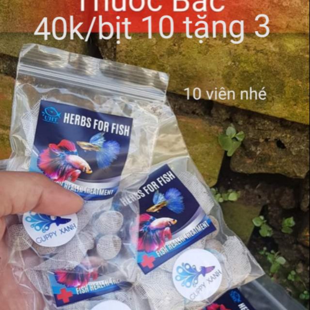 Thần dược cho các loại cá cảnh 10 tặng 3