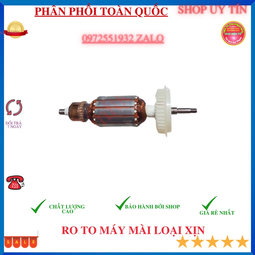 Roto máy mài bosch 6-100