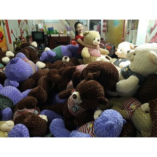 Gấu Teddy 1M6 - giảm 27%
