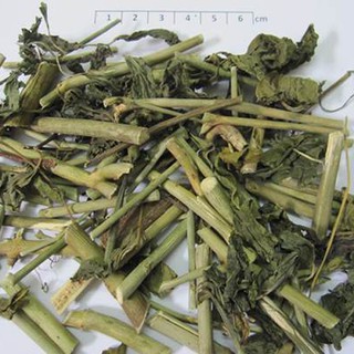 Thảo dược Cây xương khỉ 500g khô