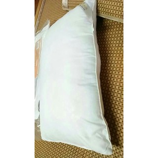 RUỘT GỐI , ruột gối.2 cái