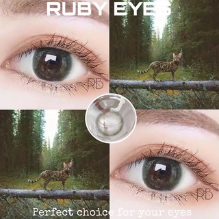 Lens Hàn [FREESHIPEXTRA] (ib chọn mẫu)