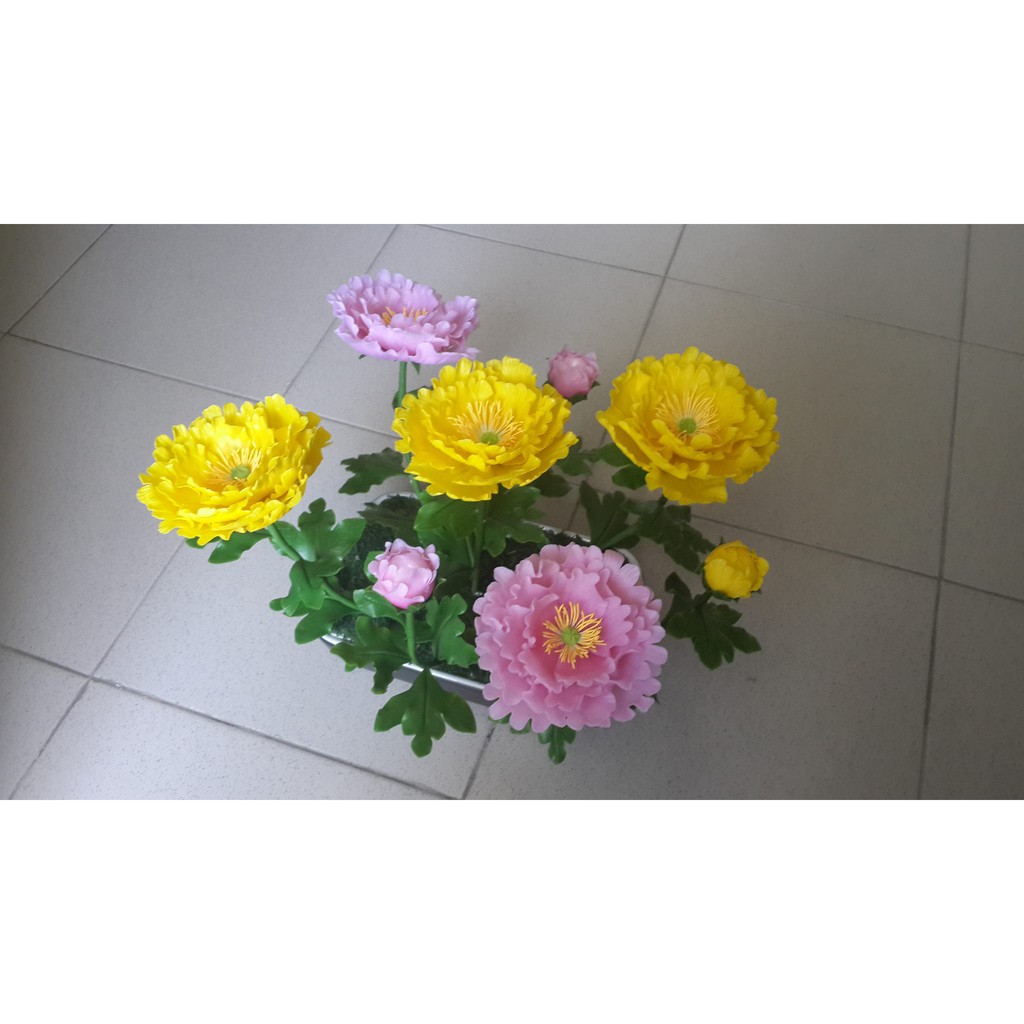 hoa đất sét