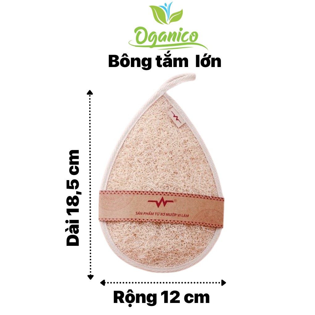 Bông tắm xơ mướp / LOOFAH / Cọ lưng kèm bông tắm xơ mướp tự nhiên giọt nước lớn, chà lưng, tẩy tế bào chết body