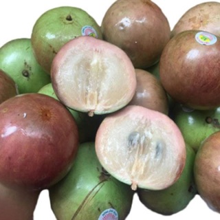 VÚ SỮA BƠ HỒNG