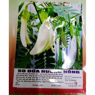 HẠT SO ĐŨA TRẮNG - GÓI 2 GRAMMS978