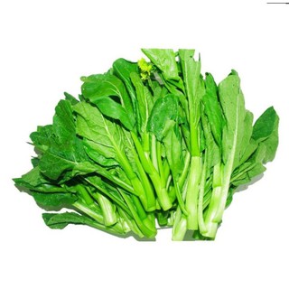 Hạt giống cải ngồng mập