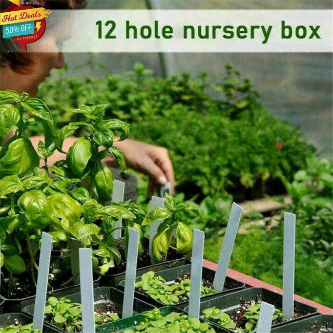 Khay Ươm Giống 12 Ngăn Hình Chữ Nhật Cho Cây Cảnh