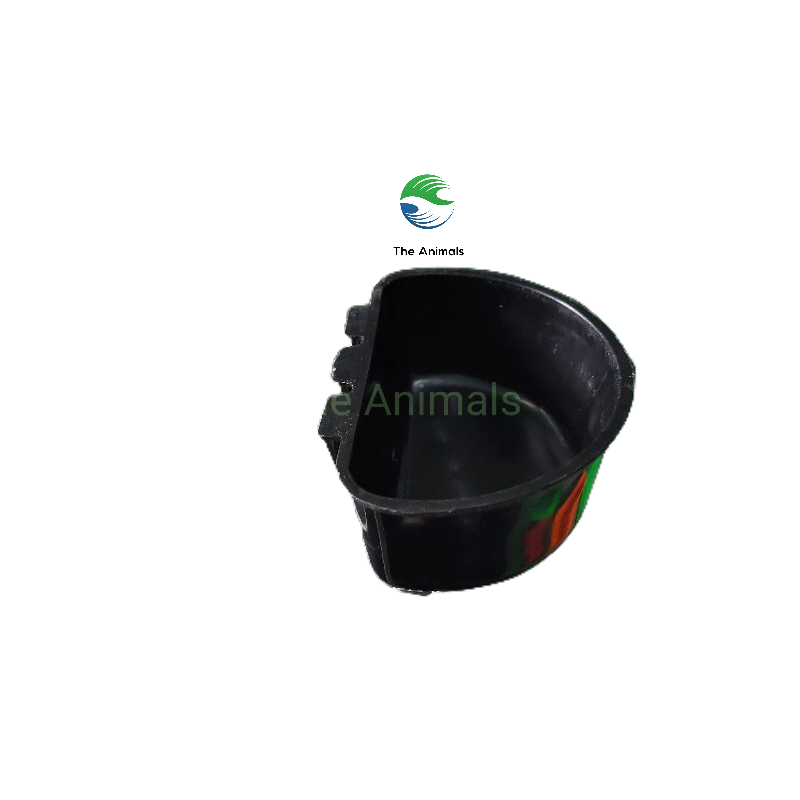 Máng đựng khoáng, cát cho chim bồ câu