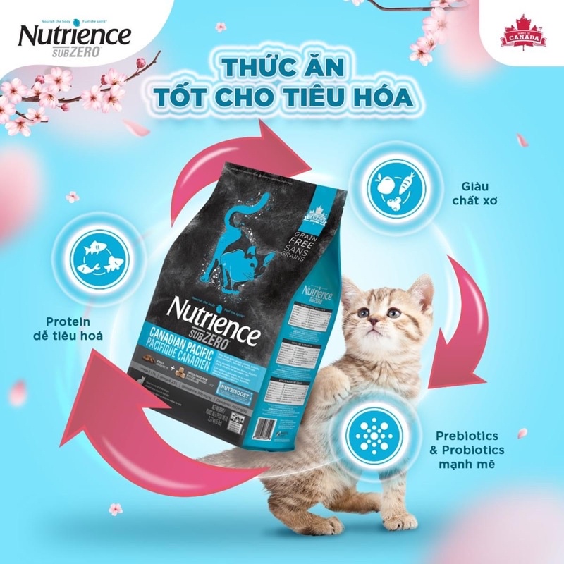 Thức ăn hạt khô cho mèo Nutrience Subzero bịch 500 gr