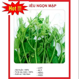 Hạt giống Bí Siêu Ngọn 10gram