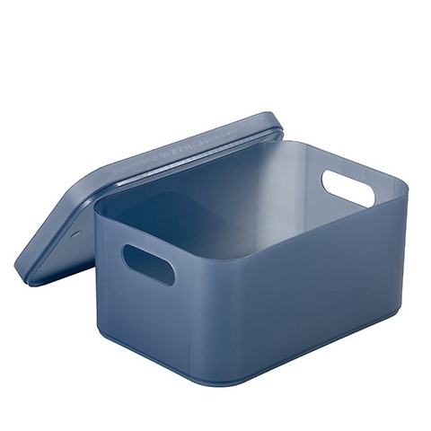 Hộp nhựa đựng đồ đa năng có nắp kích thước 22x10.5x5.5cm