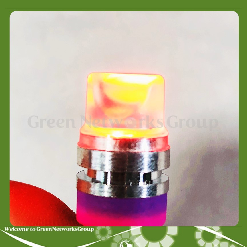 Đèn xi nhan chân ghim T10 chớp ánh sáng 7 màu Greennetworks