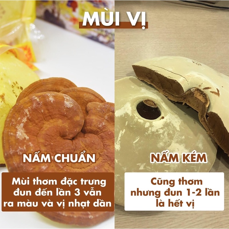 [Nhập khẩu Hàn Quốc] Nấm Linh Chi cao cấp Hàn Quốc Imsil Nonghuyp M 1kg | BigBuy360 - bigbuy360.vn