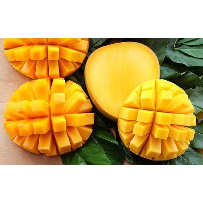 XOÀI SẤY DẺO  XUẤT KHẨU - CHUA CHUA NGỌT NGỌT - THƠM NGON HẤP DẪN | BigBuy360 - bigbuy360.vn