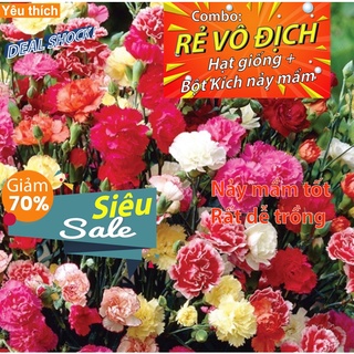 [Combo rẻ vô địch HẠT GIỐNG + GÓI KÍCH NẢY MẦM] - Gói 20 Hạt - Hạt Giống Hoa Cẩm Chướng Kép Mix Đủ Màu