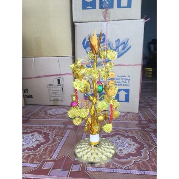 Cây Lá Ngọc Cành Vàng Trang Trí Tuyệt Đẹp