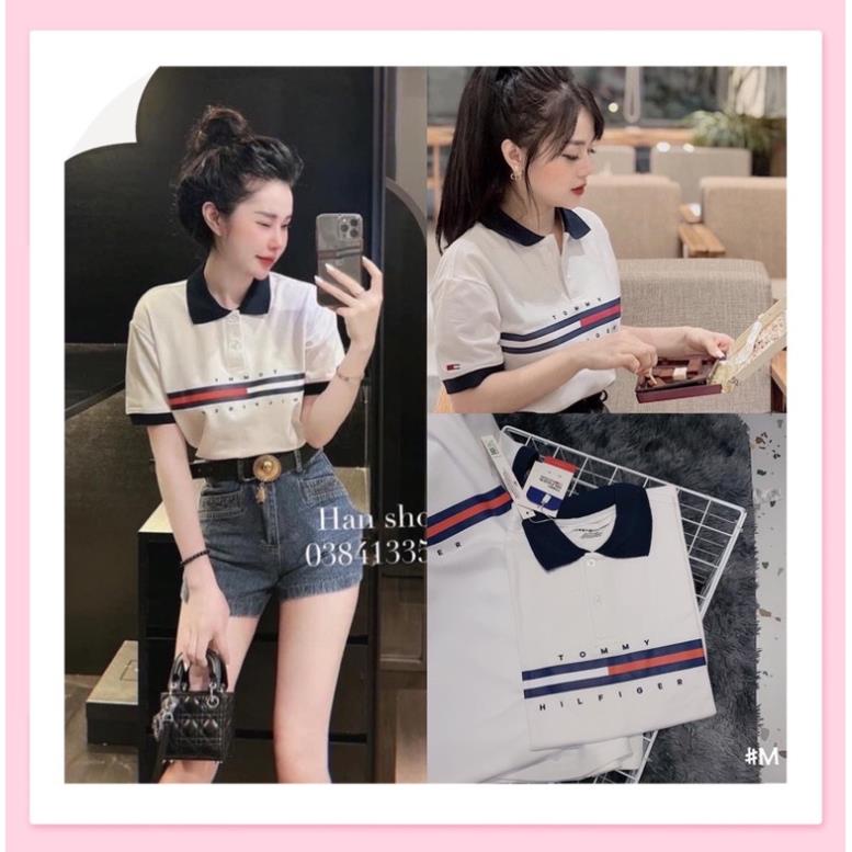 Áo polo kẻ Tommy, áo phông cổ bẻ trắng cho nữ chất poly mịn mát Đẹp