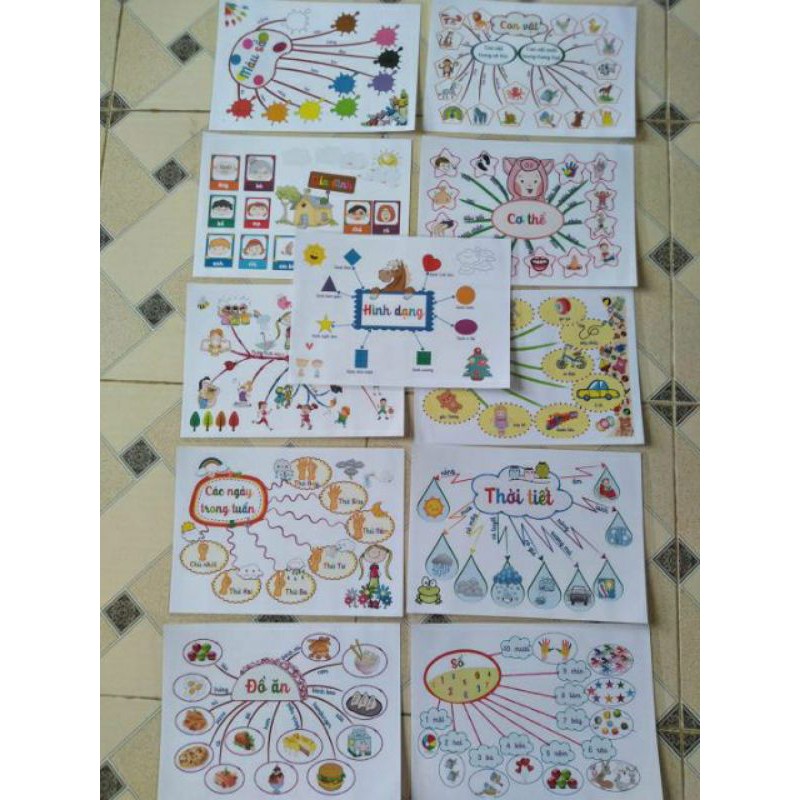 [MONTESSORI] Mindmap tiếng anh cho bé bằng giấy in ảnh( 11trang)