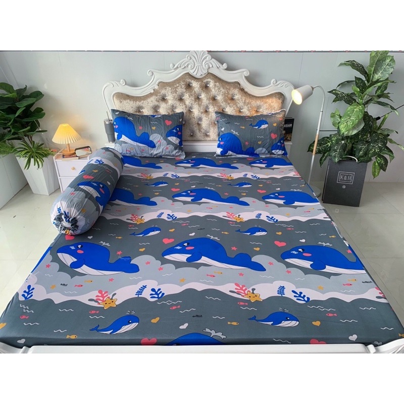Bộ Drap thun Hàn Quốc mẫu cá voi gồm 6 màu