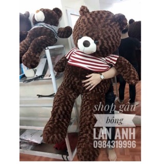 - gấu bông teddy khổ vải 1m5 cao 1m4