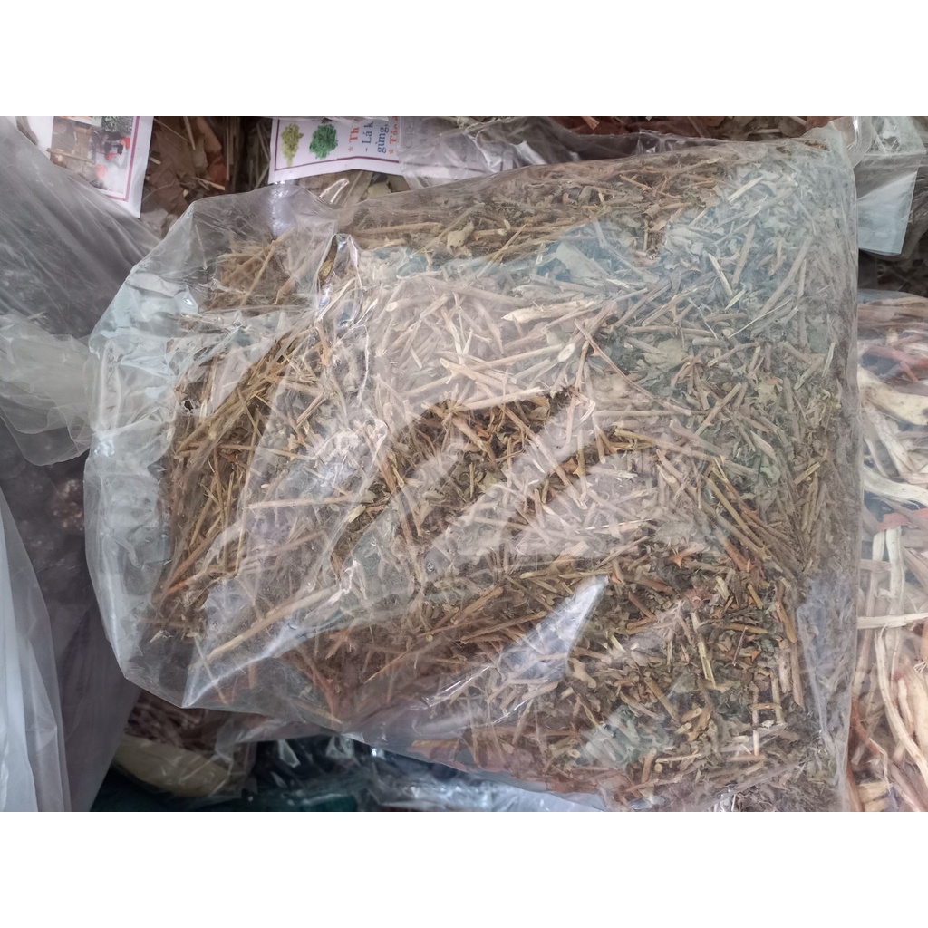 Cà gai leo khô 1kg