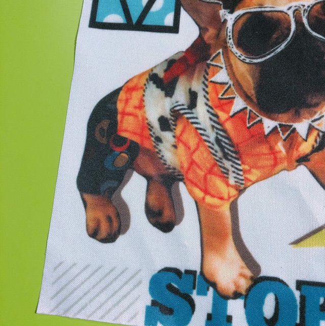 Hình vải ủi chó đeo kính có keo
