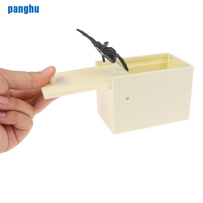 Nhện Trang Trí Halloween Đẹp Mắt