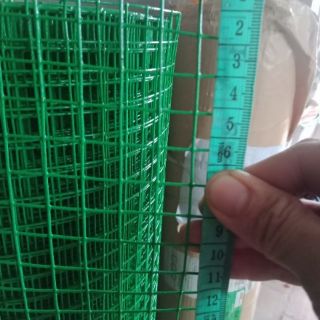 Combo 10m lưới chống chuột