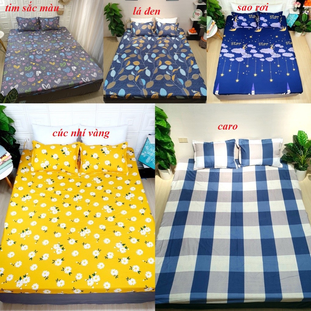 Bộ ga gối poly cotton đủ size giá siêu rẻ