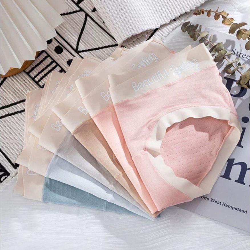 Quần Lót Bầu Larosa Bigsize Cạp Chéo Chất Cotton Mềm Mại Có Lỗ Thông Hơi Kháng Khuẩn Túi Zip Beauty Spring La7031Q