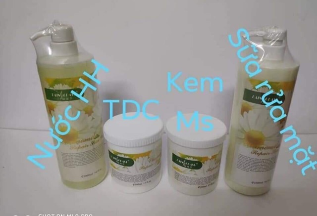 Bộ 4 món kem Hoa cúc