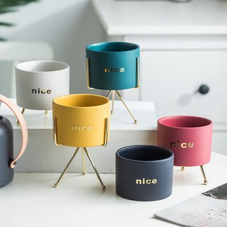 Chậu Cây Dễ Thương Trồng Sen Đá, Trang Trí Bàn Làm Việc / Sân Vườn / Nhà Cửa / Văn Phòng