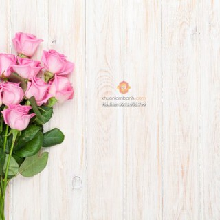 Phông nền 3D chụp ảnh sản phẩm 19966