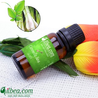 Tinh dầu đuổi muỗi, tinh đầu sả chanh Java 50ml